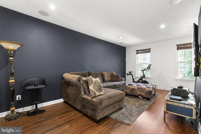 living room with dark hardwood / wood-style floors