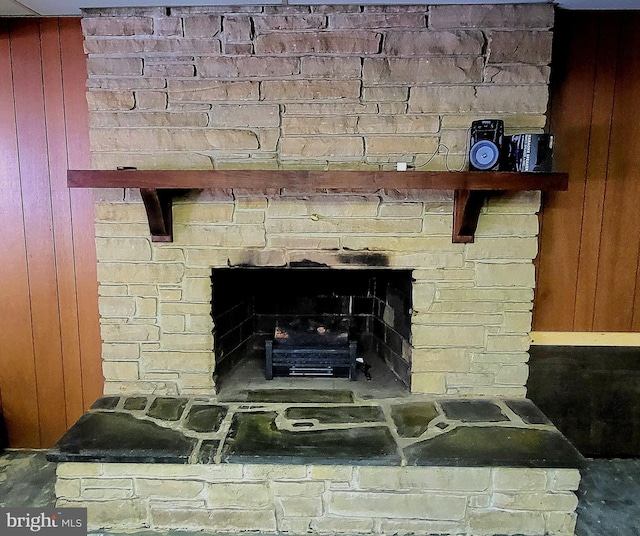 interior details with a stone fireplace and wood walls