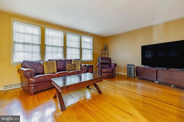 living room featuring light hardwood / wood-style floors and a healthy amount of sunlight