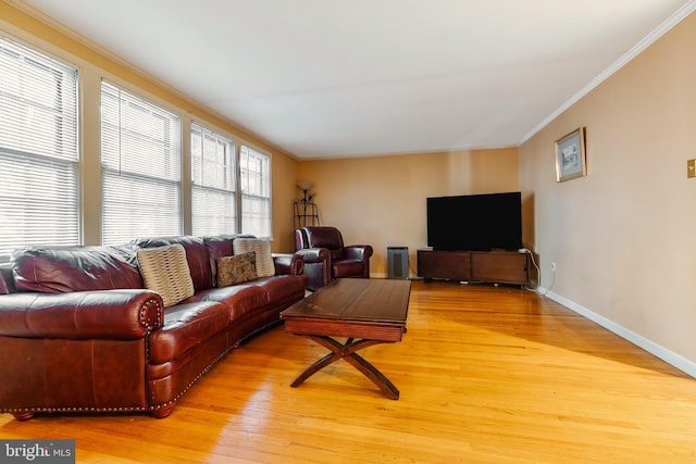 living room with crown molding and hardwood / wood-style floors