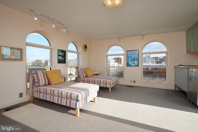 bedroom with carpet flooring and multiple windows