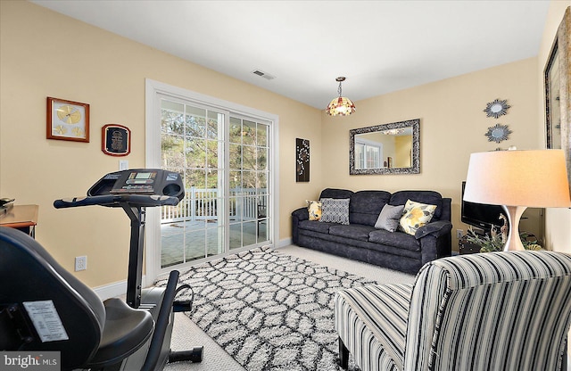 workout area featuring carpet floors