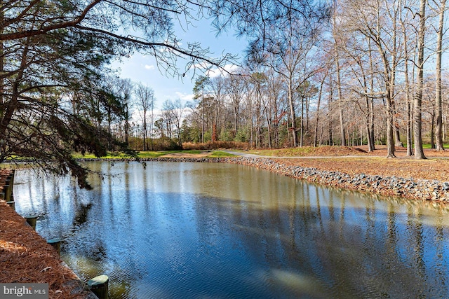 property view of water