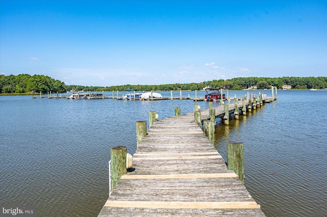 dock area featuring a water view