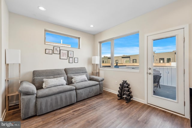 living room with hardwood / wood-style floors