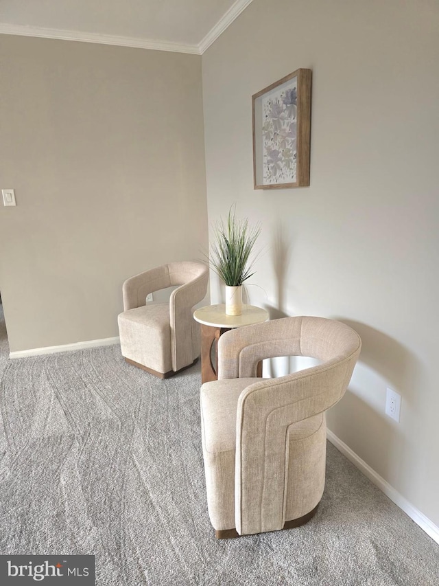 sitting room with carpet flooring and ornamental molding