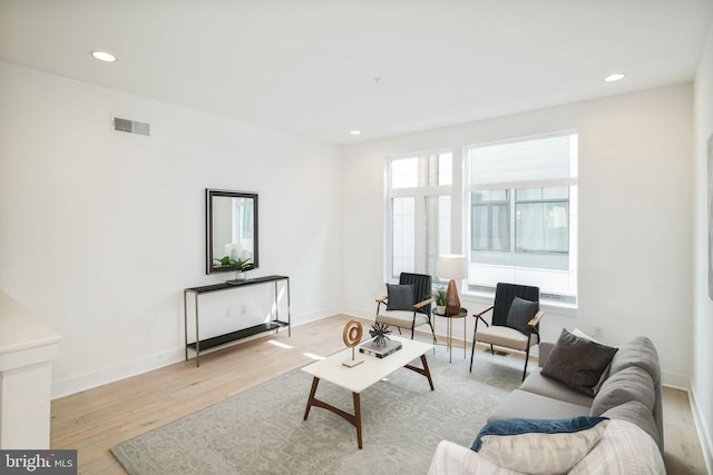 living room with light hardwood / wood-style flooring