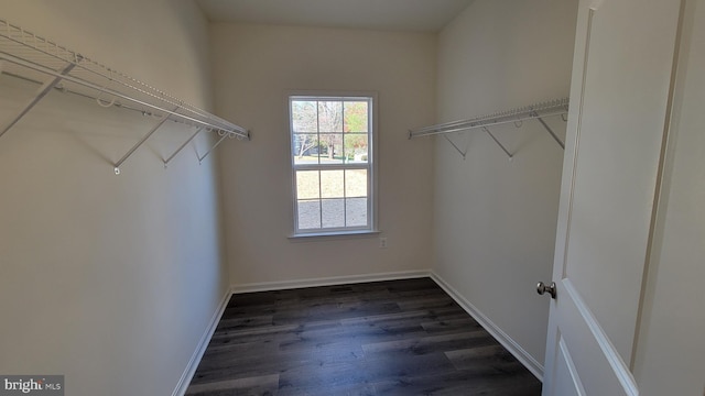 walk in closet with dark wood-type flooring