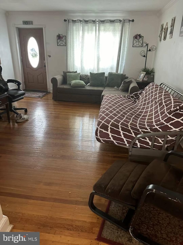 living room with wood-type flooring