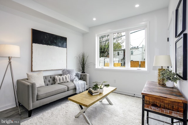 living room featuring dark wood-type flooring