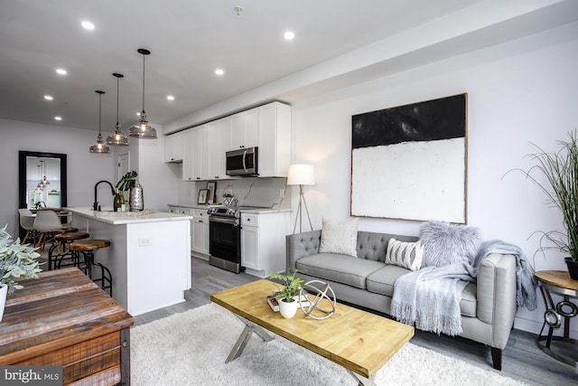 living room with light hardwood / wood-style floors and sink