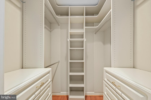 spacious closet with light wood-type flooring