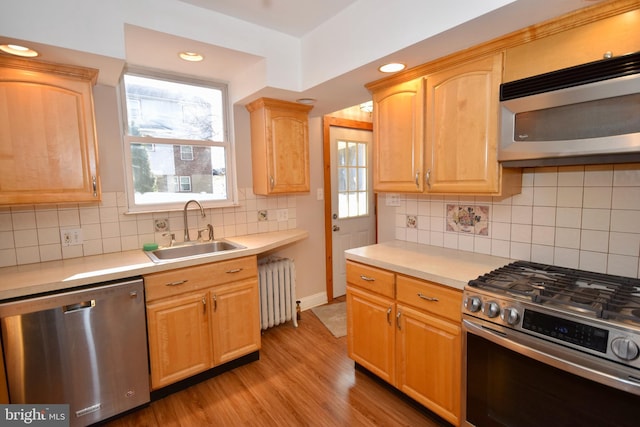 kitchen with radiator, stainless steel appliances, sink, light hardwood / wood-style flooring, and plenty of natural light