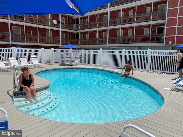 view of pool with a patio area