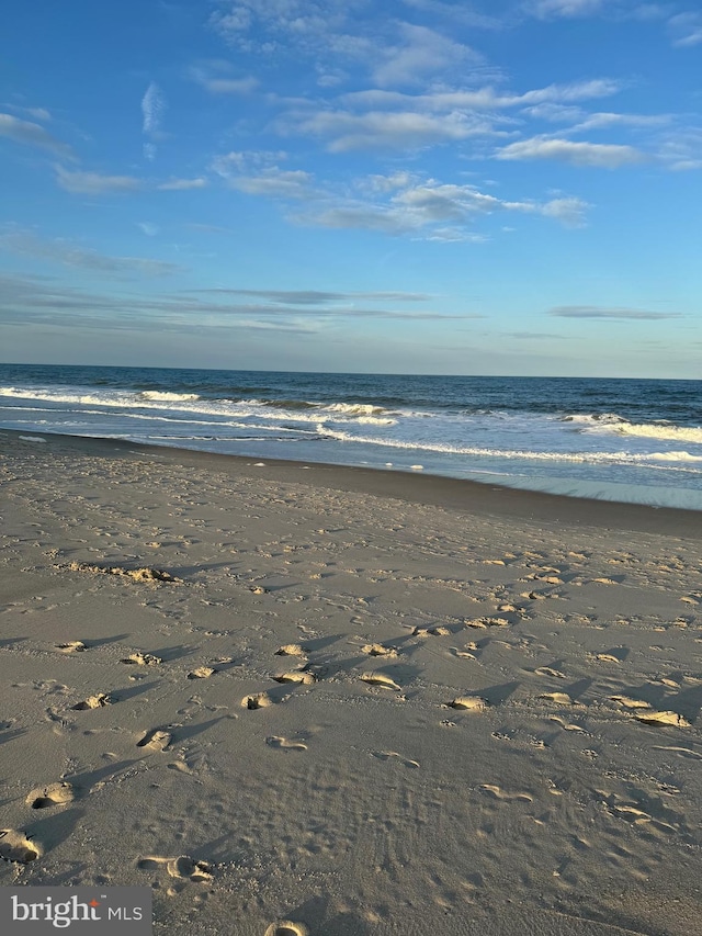 water view featuring a beach view