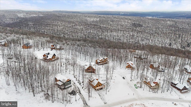 view of snowy aerial view