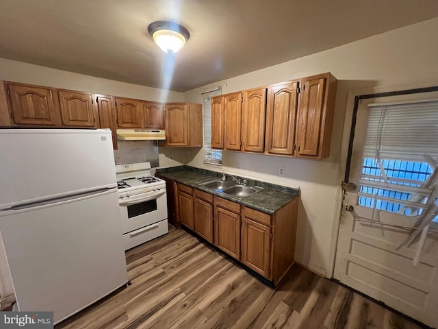 kitchen with dark hardwood / wood-style flooring, white appliances, and sink