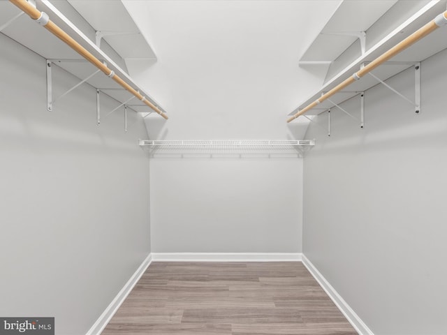 walk in closet with light hardwood / wood-style floors