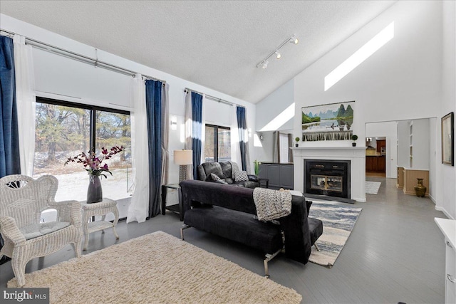 living room featuring plenty of natural light, high vaulted ceiling, and a textured ceiling