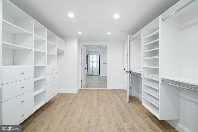 spacious closet featuring light wood-style flooring