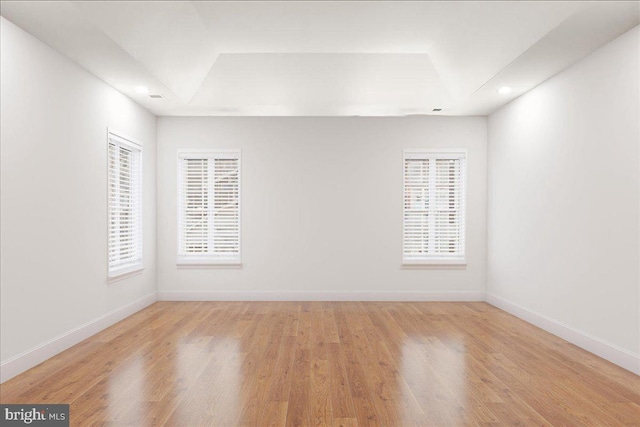 spare room with light hardwood / wood-style floors and a wealth of natural light