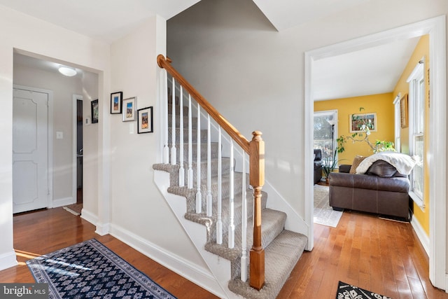 foyer entrance featuring hardwood / wood-style floors