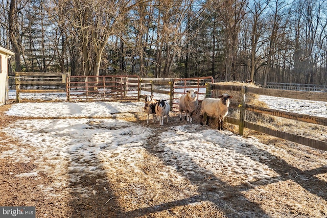 yard layered in snow featuring a rural view