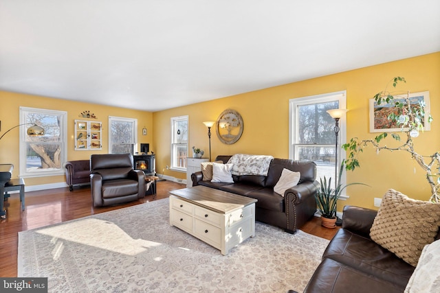 living room featuring hardwood / wood-style floors