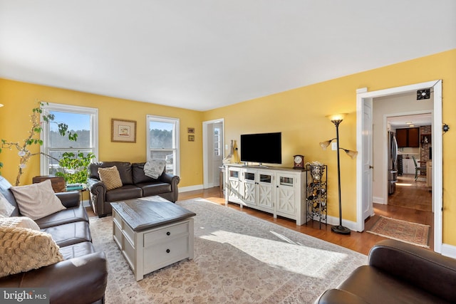 living room with light wood-type flooring