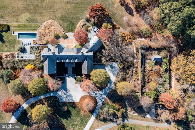drone / aerial view