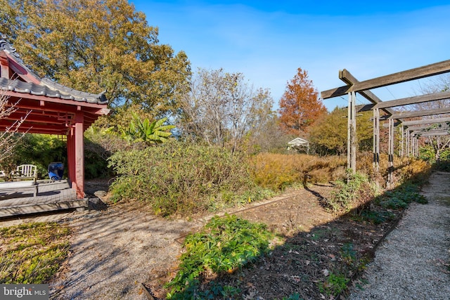 view of yard featuring a pergola