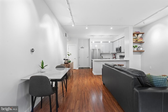 interior space with sink, dark hardwood / wood-style flooring, and rail lighting