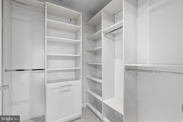 spacious closet with light colored carpet