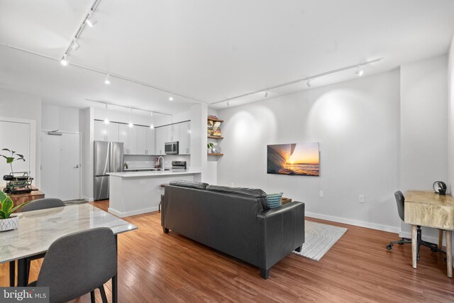 living room featuring sink and light hardwood / wood-style flooring