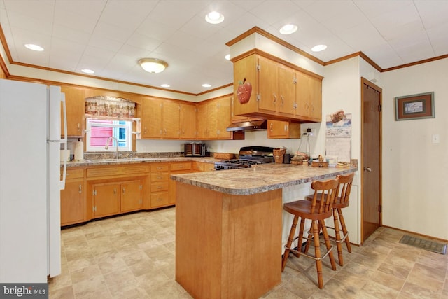 kitchen featuring sink, ventilation hood, kitchen peninsula, white fridge, and range