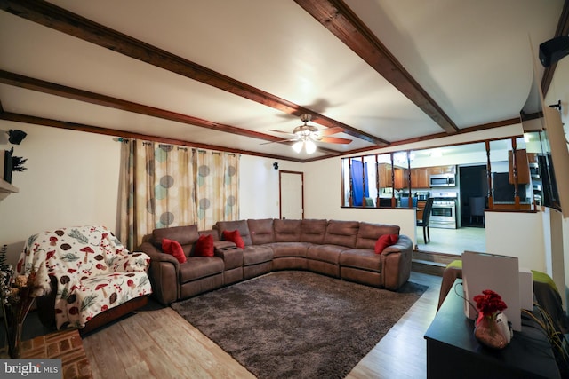 living room featuring hardwood / wood-style flooring, beam ceiling, and ceiling fan