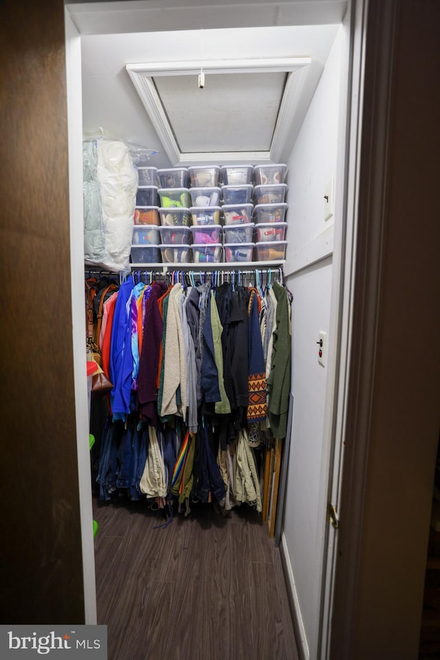 spacious closet featuring dark hardwood / wood-style floors