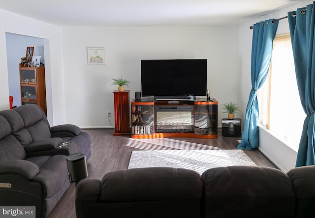 living room featuring dark wood-type flooring