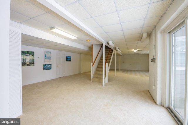 basement featuring a drop ceiling, a healthy amount of sunlight, and light carpet