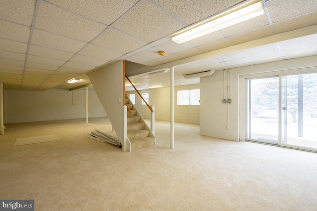 basement featuring carpet and a paneled ceiling