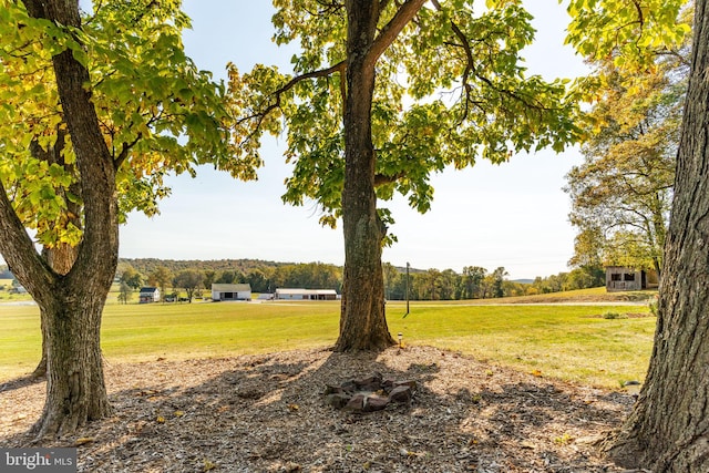 view of yard with a rural view