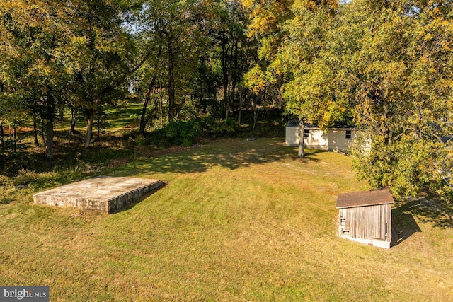 view of yard featuring a shed