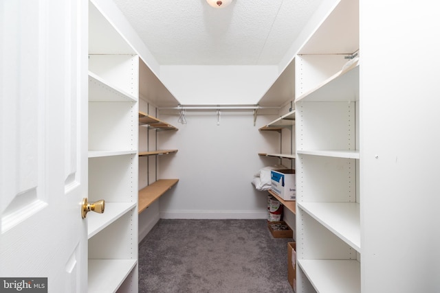 spacious closet featuring dark colored carpet