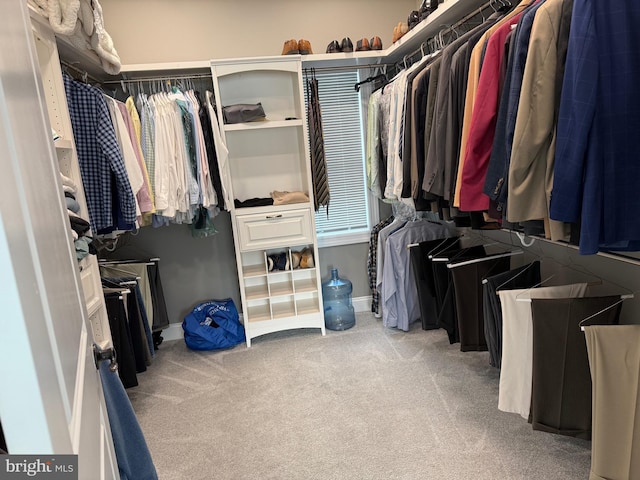 walk in closet featuring light colored carpet