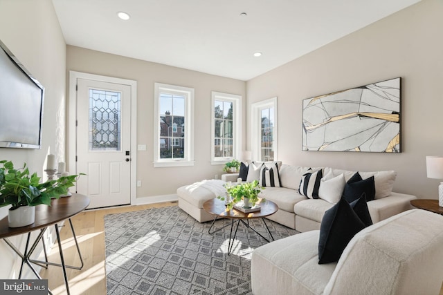 living room featuring wood-type flooring