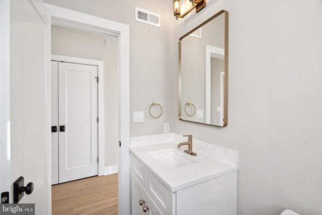 bathroom with wood-type flooring and vanity