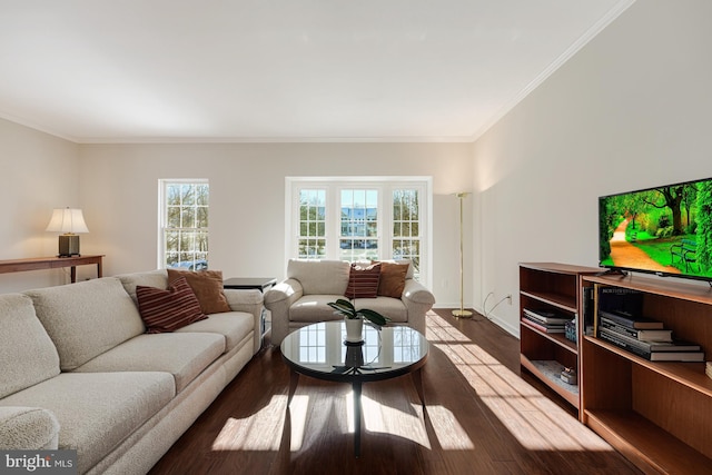 living room with ornamental molding and hardwood / wood-style flooring