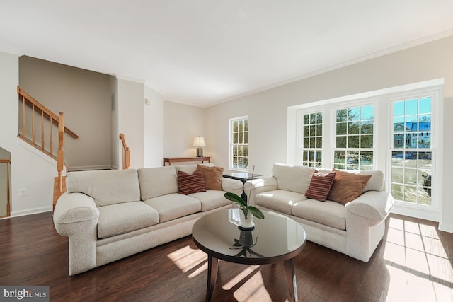 living room featuring a healthy amount of sunlight, dark hardwood / wood-style flooring, and crown molding