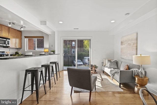 living room with light hardwood / wood-style flooring