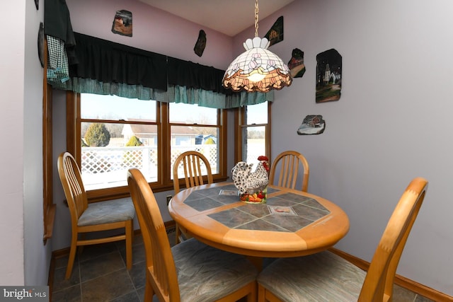 dining room featuring plenty of natural light